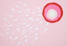 Women’s Infertility infertility in women