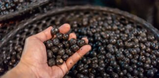 Is It A Superfood? The Truth About The Acai Berry, Acai Juice