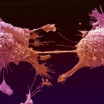 lung-cancer-cell-health-niche