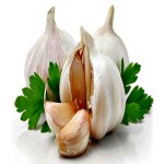 garlic