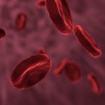 red-blood-cells-3188223_640