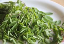12 Unbelievable Benefits of Moringa Plant You Didn’t Know About