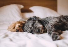 9 Stretches That Surprisingly Make You Sleep Fast Anytime