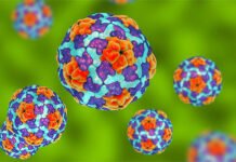 All You Need To Know About Hepatitis A: Symptoms, Causes, Diagnosis,Treatments And Home Remedies Hepatitis A