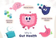 Gut Health and its Impact on Mental Well-being